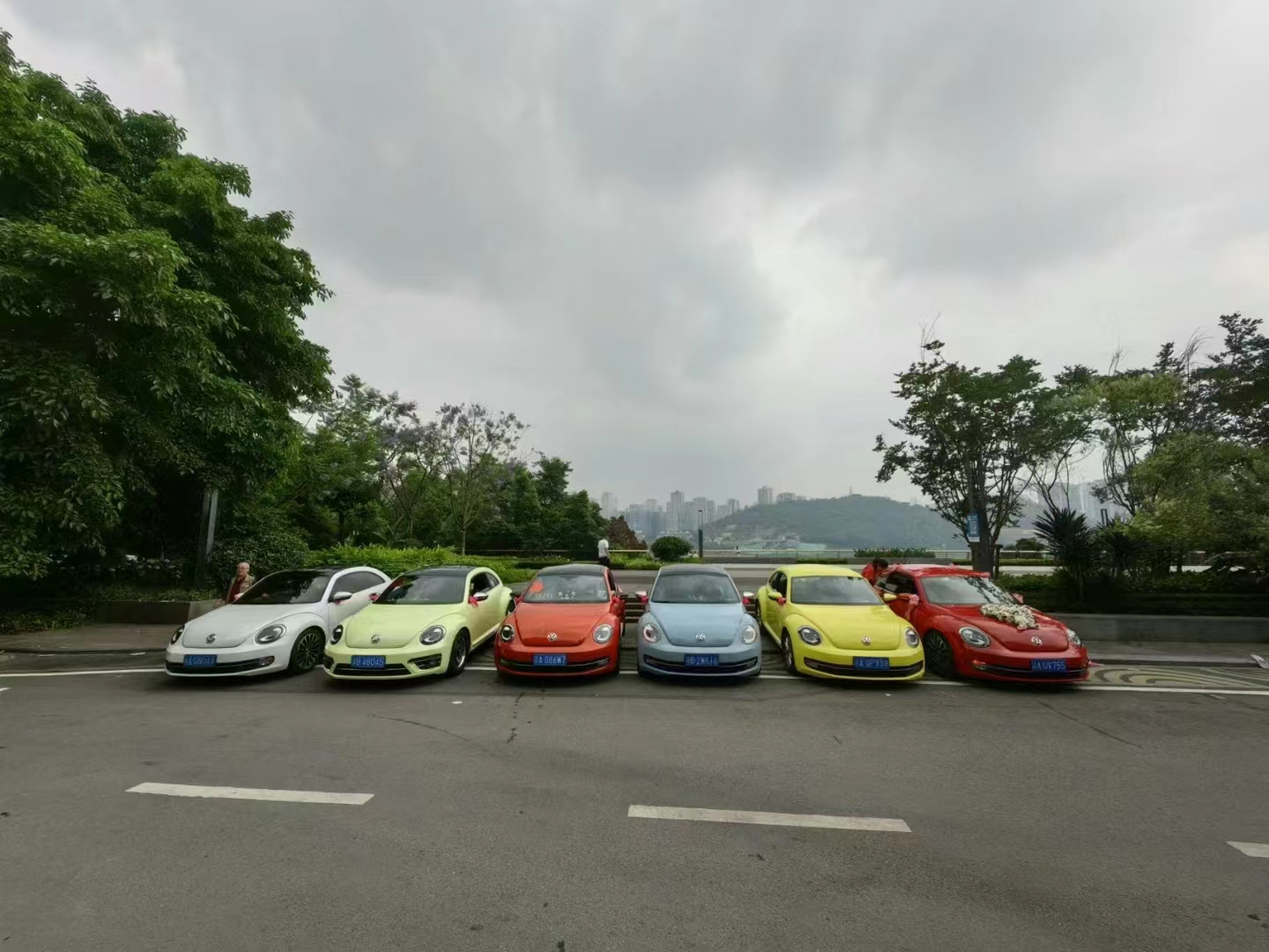 甲殼蟲(chóng)彩虹車隊(duì)